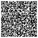 QR code with Pyramid Tech-Comm contacts