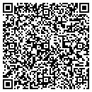 QR code with Psi Group Inc contacts