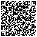 QR code with Nevins contacts