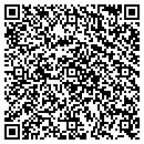 QR code with Public Storage contacts
