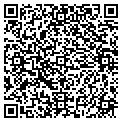 QR code with Yolis contacts