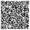 QR code with Busy Bs contacts
