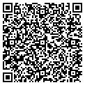 QR code with Accs Ys contacts