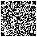QR code with Carrier South Texas contacts
