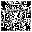 QR code with Petex contacts