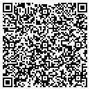 QR code with Public Machinery contacts