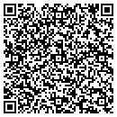 QR code with Pure Castings Co contacts