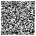 QR code with Disco contacts
