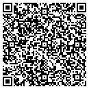 QR code with Professional Model contacts
