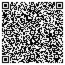 QR code with Ceterus Networks Inc contacts