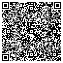 QR code with Bluestream Software contacts