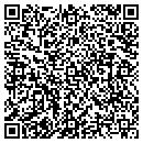 QR code with Blue Squirrel Sound contacts