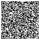QR code with Cfpm Consulting Inc contacts