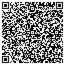 QR code with Process Systems Inc contacts