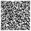QR code with Public Storage contacts
