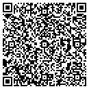 QR code with Pw Eagle Inc contacts