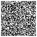 QR code with Clint Public Library contacts