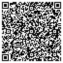 QR code with Pro Truck Auto Sales contacts