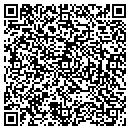 QR code with Pyramid Properties contacts