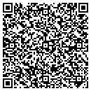 QR code with Professional Finishes contacts