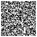 QR code with Cyrospace Inc contacts