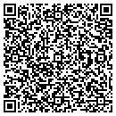 QR code with Providea Inc contacts