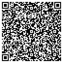 QR code with Crystal Vision contacts