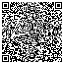 QR code with Capitol Reel Screen contacts