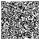 QR code with Premier Stone Inc contacts