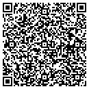 QR code with Carevu Corporation contacts