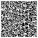 QR code with C D J Investments contacts