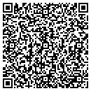 QR code with Precision Craft contacts