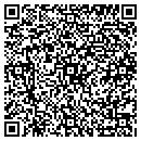 QR code with Baby's Depot Imaging contacts