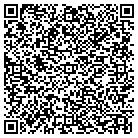 QR code with Plains Well Service Of Brownfield contacts