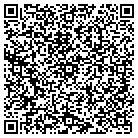 QR code with Public Safety Consulting contacts