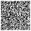 QR code with Public Safety contacts