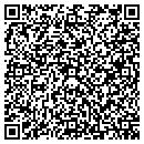 QR code with Chiton Technologies contacts