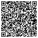 QR code with Shell contacts
