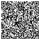 QR code with Protser Inc contacts