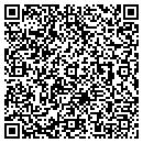 QR code with Premier Seal contacts