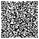 QR code with Professional Computing contacts