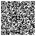 QR code with Todd E Tkach contacts