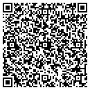 QR code with Cobra Company contacts