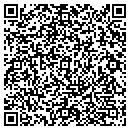 QR code with Pyramid Tubular contacts