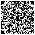 QR code with Shell contacts