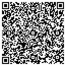 QR code with Carringtons Billards contacts