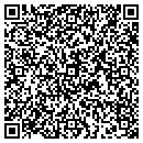 QR code with Pro Fastners contacts