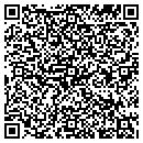 QR code with Precision Automotive contacts