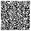 QR code with Logitek contacts