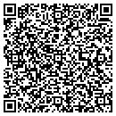 QR code with Cybermine Com contacts